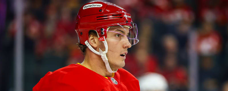 Former Maple Leafs Defenseman Finds Himself on Waivers