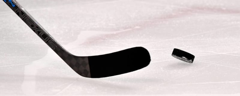 Recap: Wranglers couldn’t herd the birds in Friday afternoon game