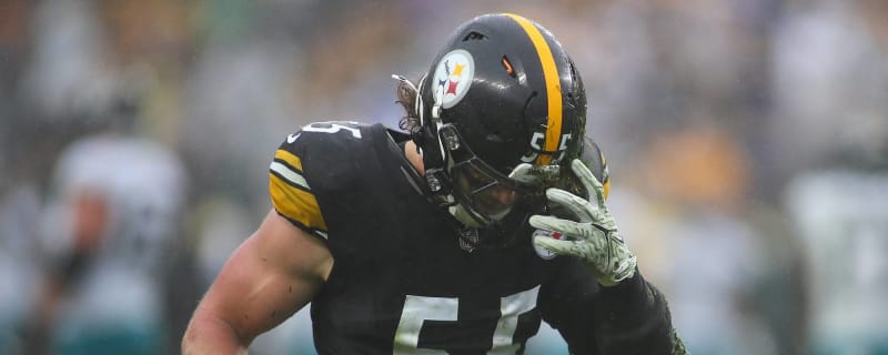 Pittsburgh Steelers Could Cut Veteran Linebacker