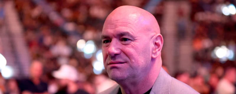 A Look Back at UFC 200