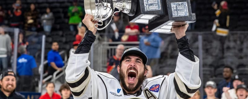 Capitals AHL's Hershey Bears are 2023 Calder Cup champions