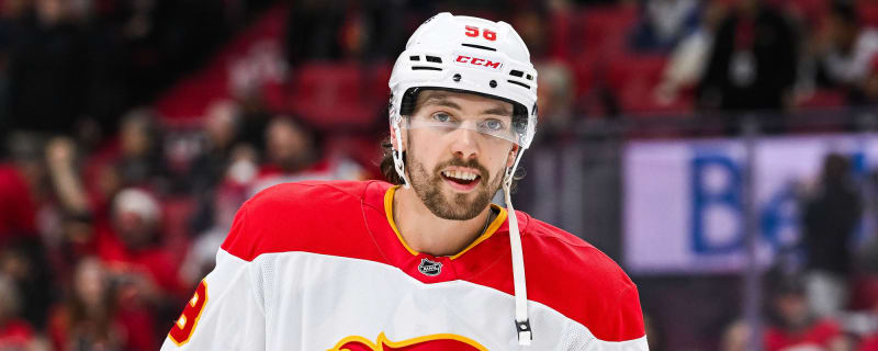 Flames place center on IR, recall two AHL standouts