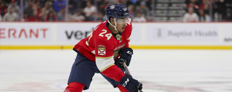 Panthers Activate, Reassign Justin Sourdif