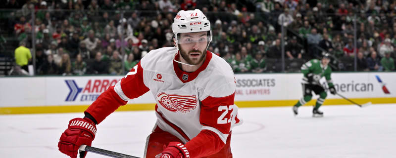 Red Wings Room: McLellan Indicates Rasmussen Appears to be Okay