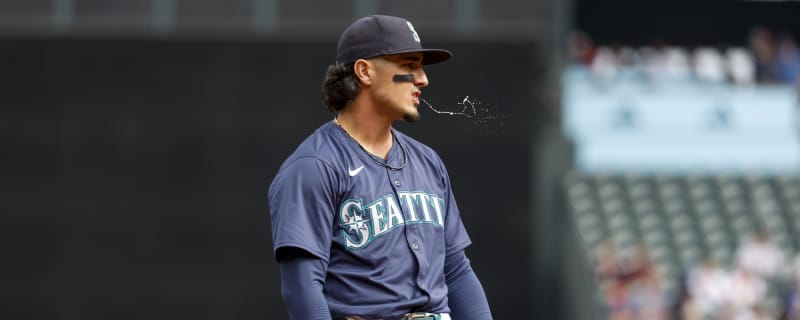 New Chicago White Sox addition didn’t have to be sold to sign