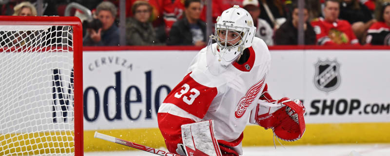 Red Wings benefit from Griffins' playoff berth