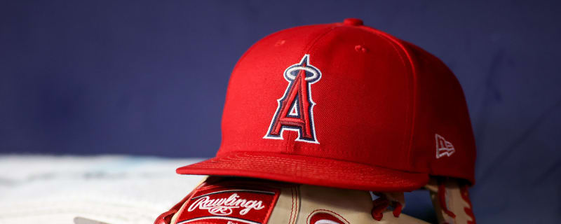 Angels Land No. 1 International Catching Prospect Gabriel Davalillo