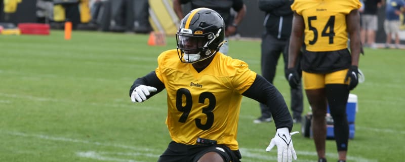 Steelers&#39; Mark Robinson&#39;s Enthusiastic Attitude Gives Him A Real Shot In 2024