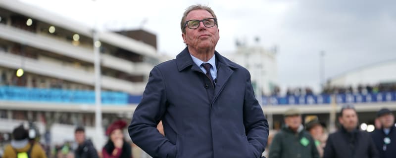 Harry Redknapp prefers £1m Tottenham signing over £47m star