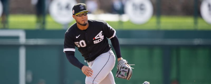 Lenyn Sosa - MLB News, Rumors, & Updates