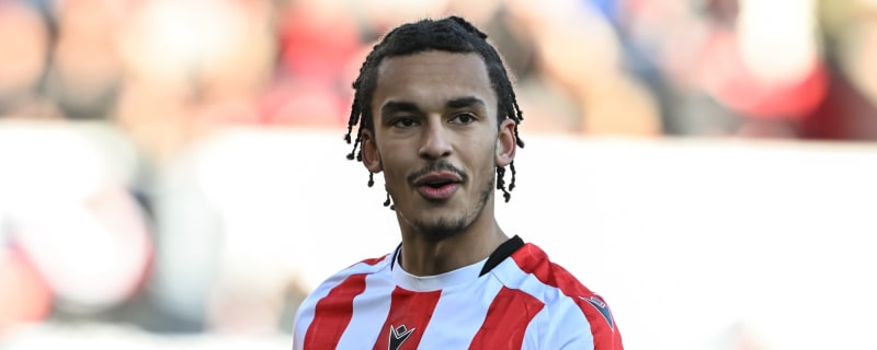 Tim Sherwood wants Tottenham to recall Ashley Phillips from loan amid defensive crisis