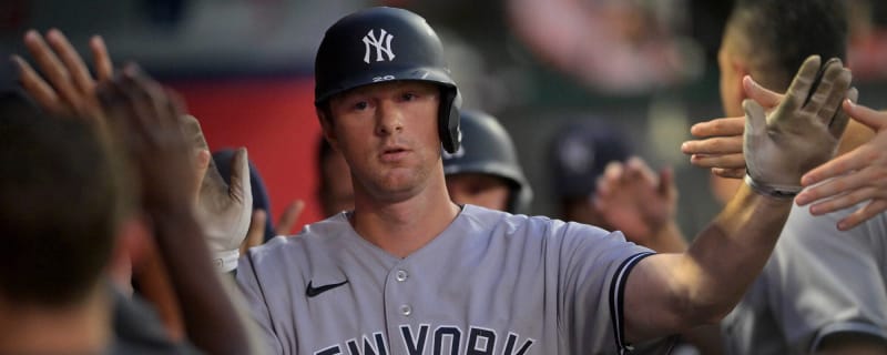 Yankees activate DJ LeMahieu, demote Tim Locastro - Pinstripe Alley