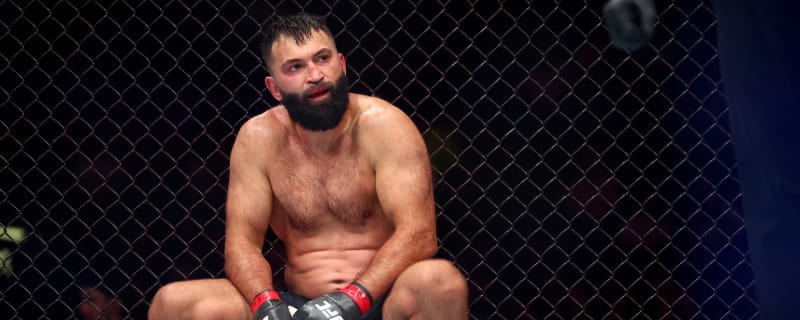 Andrei Arlovski & Fedor Emelianenko May Meet in a Boxing Ring