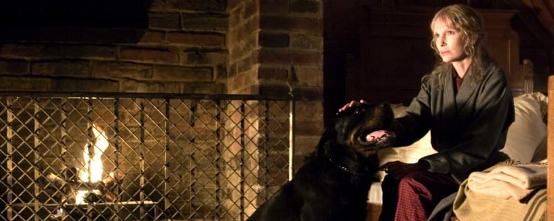 The 20 best horror remakes