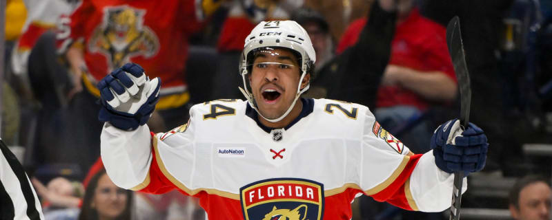 Florida Panthers Get Milestone Goal from Sourdif, Beat Predators