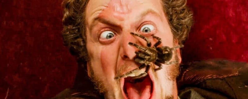 The best and worst spiders from film