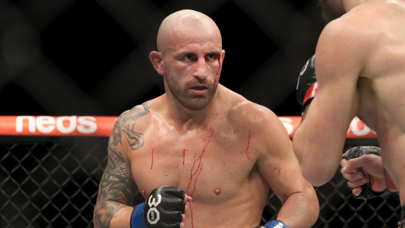 Volkanovski vs. Rodríguez title fight in the works for UFC 290