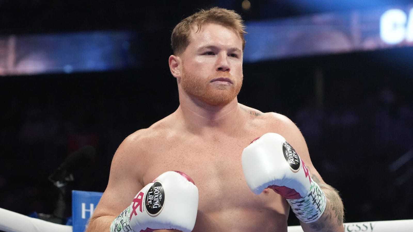 Canelo Alvarez planning Gennady Golovkin trilogy fight before Dmitry Bivol rematch