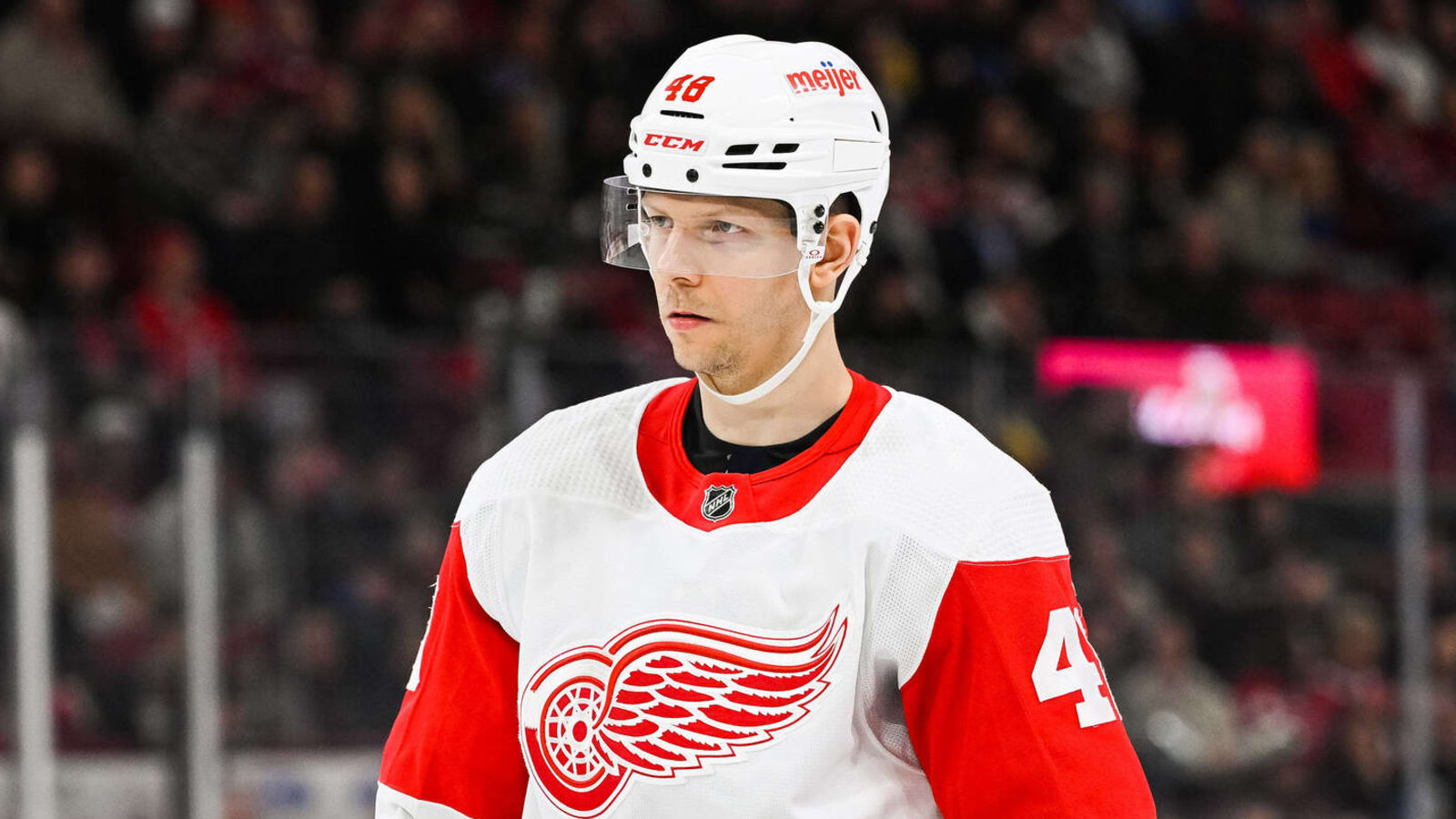 Bruins sign former Red Wings forward to PTO