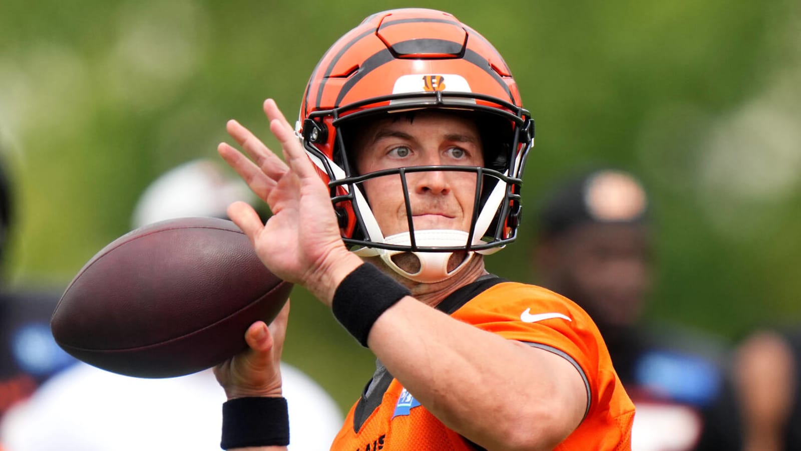 AFC North backup quarterback panic meter