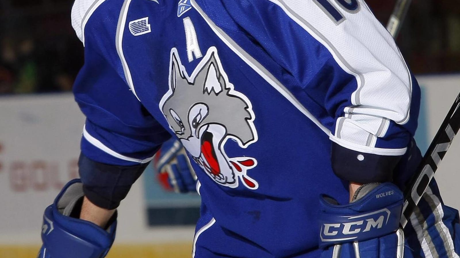 Report: Ontario Hockey League investigating Sudbury Wolves following bounty accusations