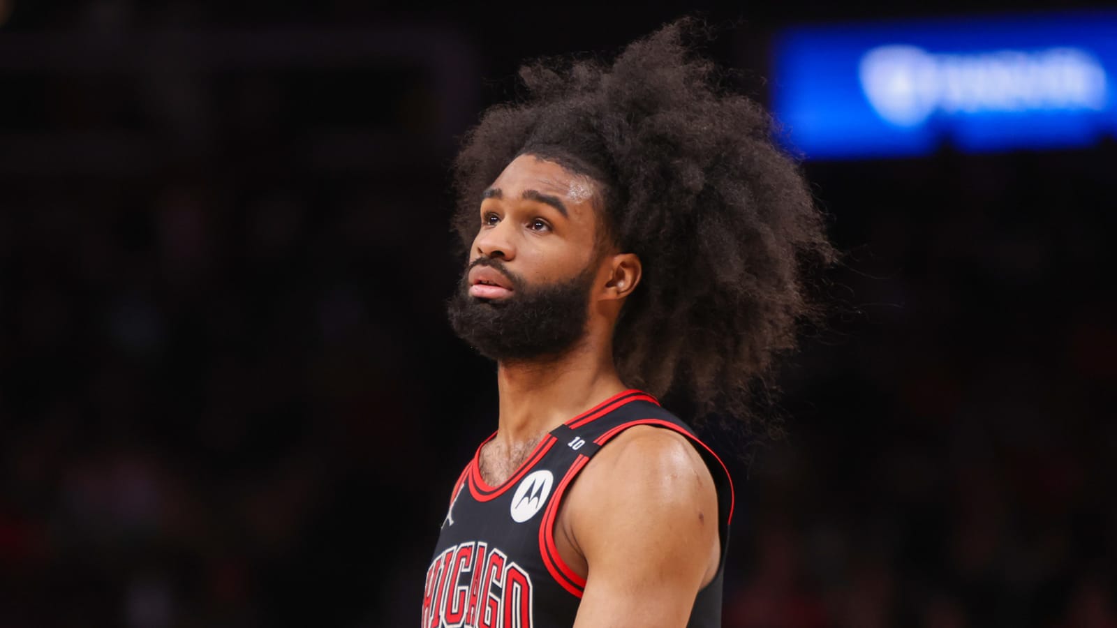 Bulls, Hornets tie their own dubious record