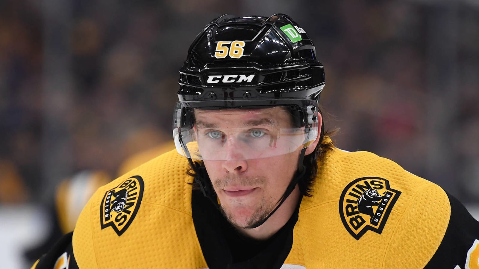 Bruins place Erik Haula in COVID protocol