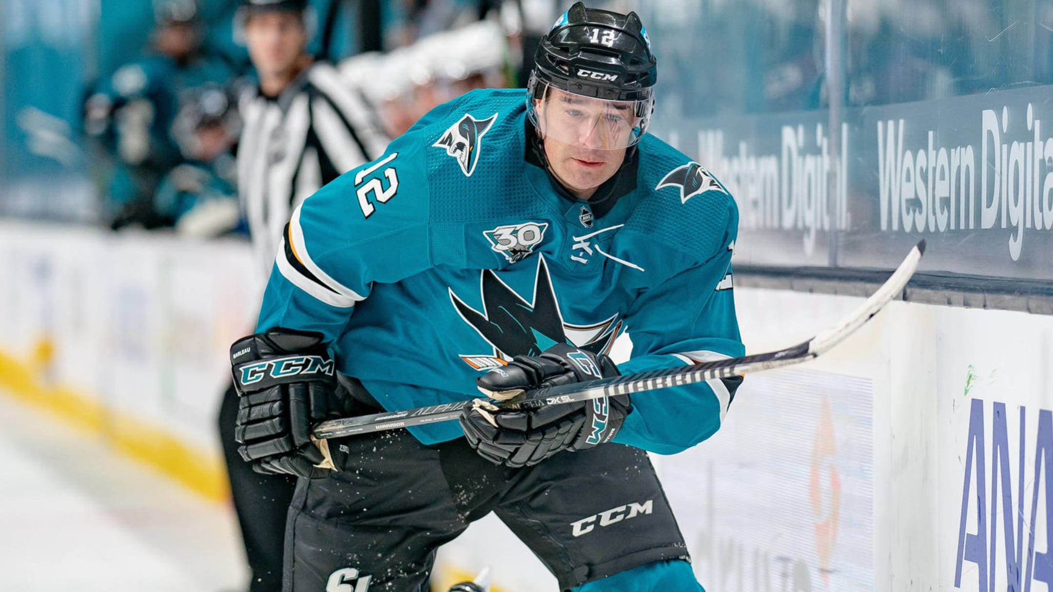 San Jose Sharks sign forward Patrick Marleau to one-year, $700K deal 