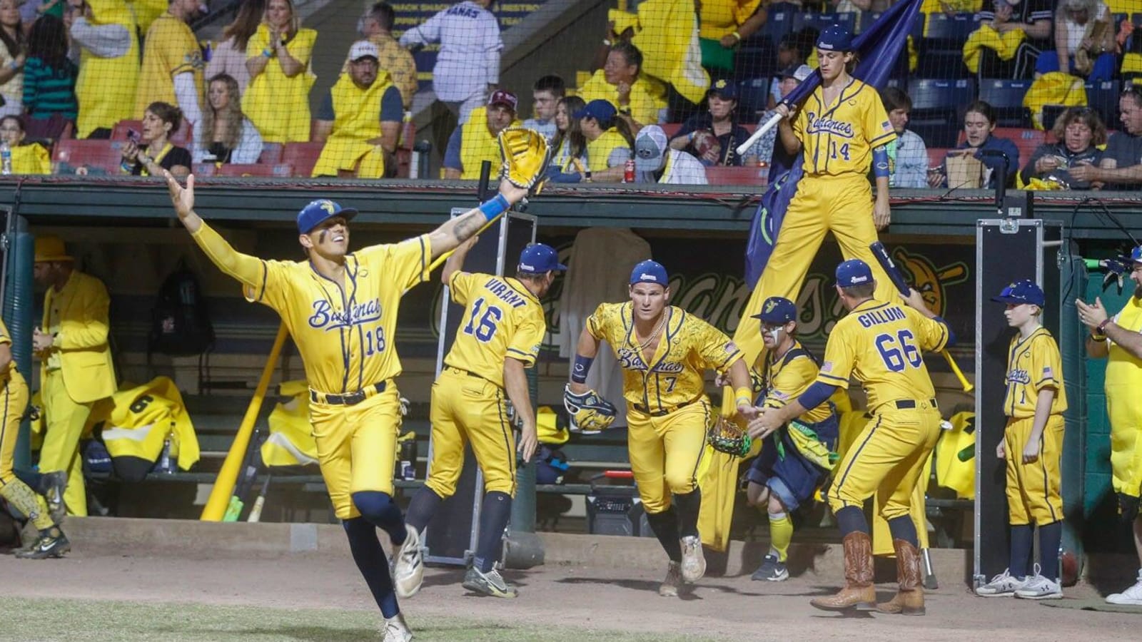 Watch Savannah Bananas outfielder makes incredible trick catch