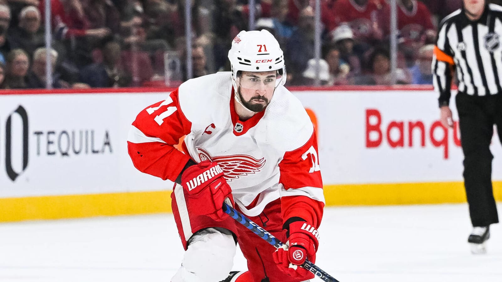2023–24 NHL team preview: Detroit Red Wings
