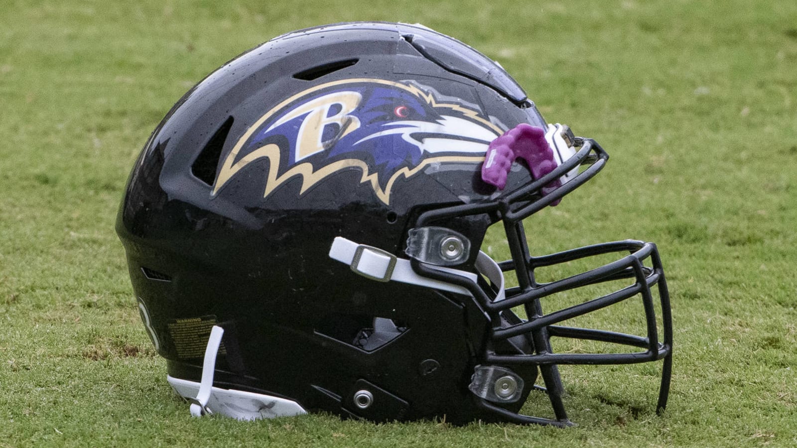 'At least' four strains of COVID found in Ravens facility