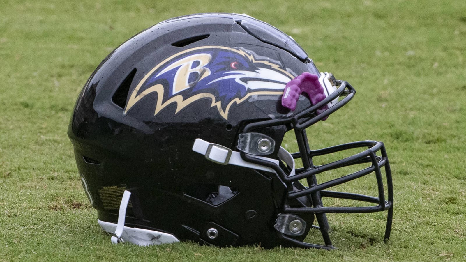 'At least' four strains of COVID found in Ravens facility