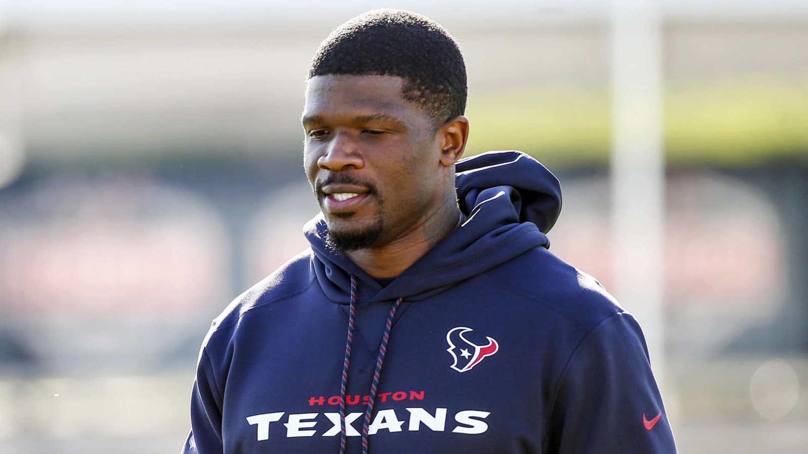 Andre Johnson, DeMarcus Ware, 13 others named HOF finalists