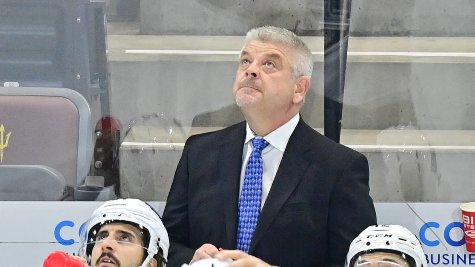 Kings Fire Head Coach Todd McLellan, Promote Jim Hiller