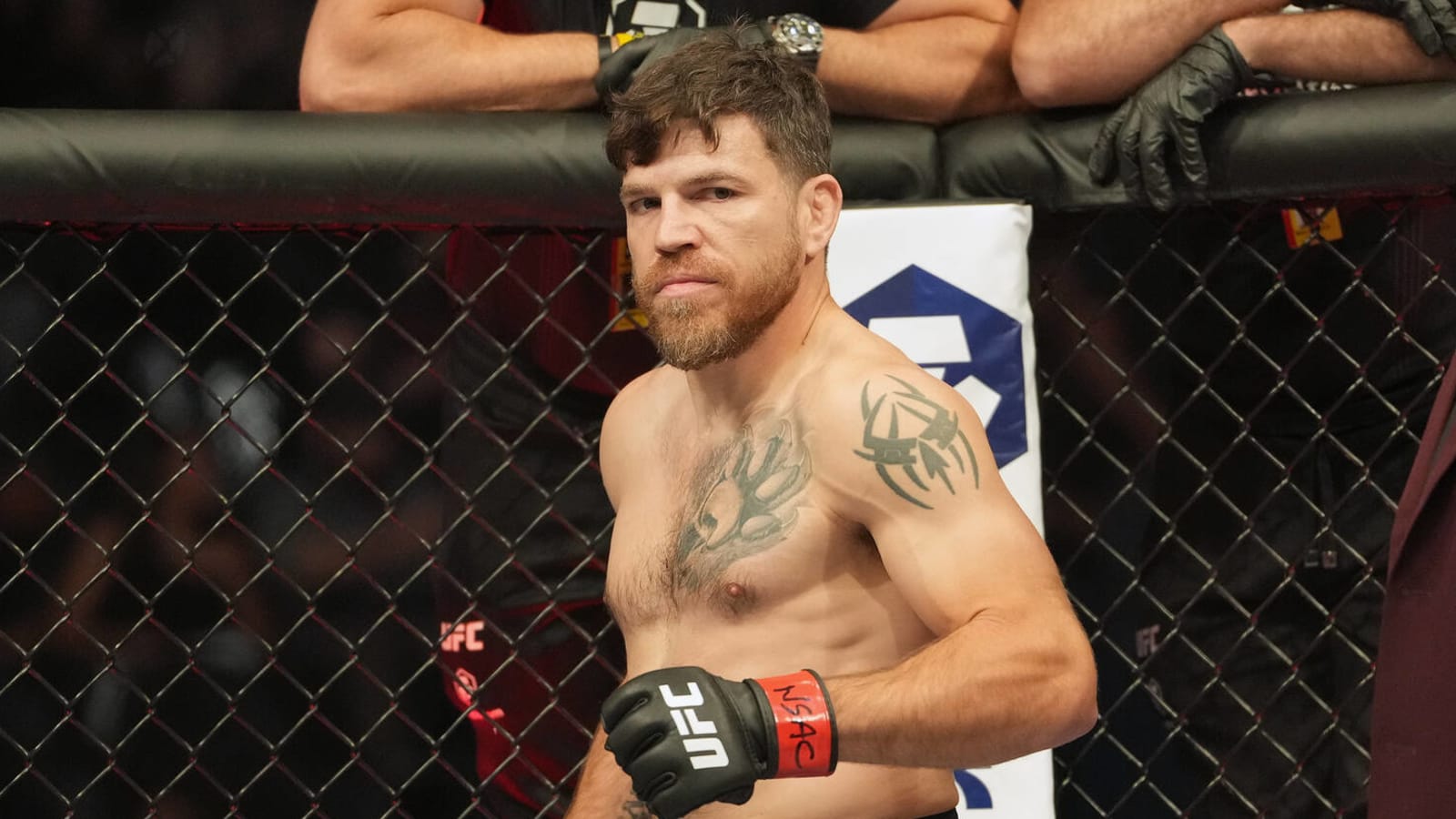Watch ufc 234 online free deals stream