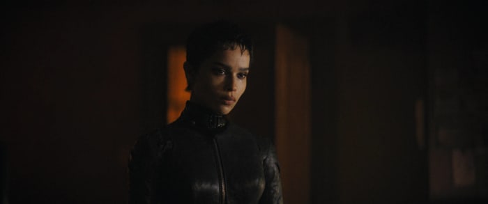 Catwoman was reprising the role (in a way)