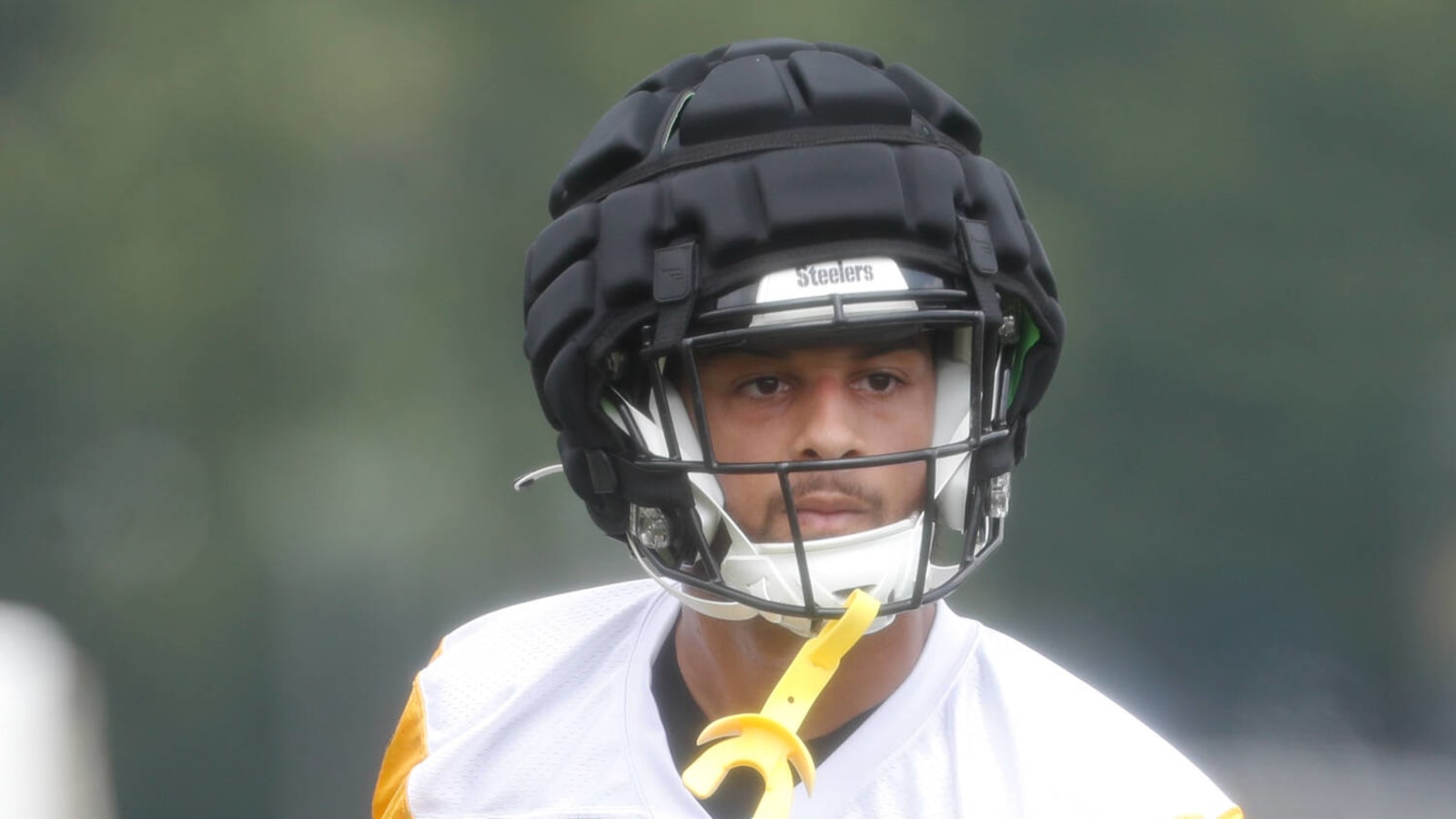 Seahawks Land Former Steelers Wide Receiver