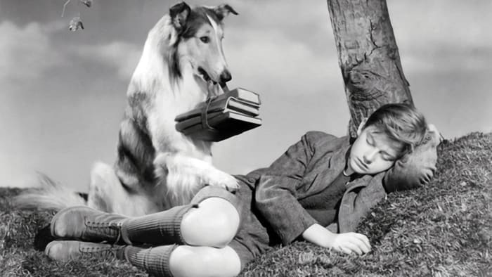 Lassie (1997) - Filmaffinity