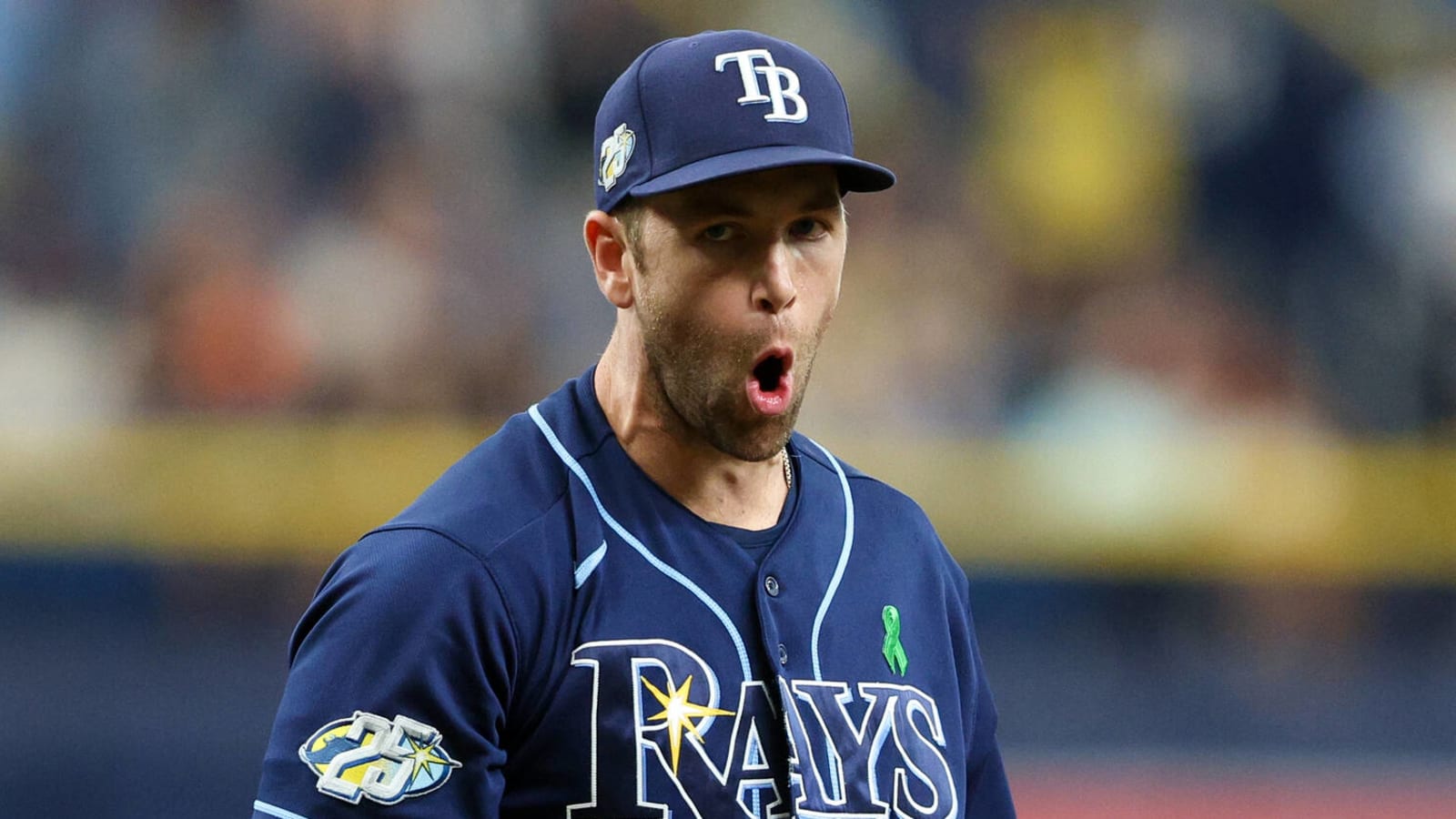 Rays historic start paints promising picture for team's potential