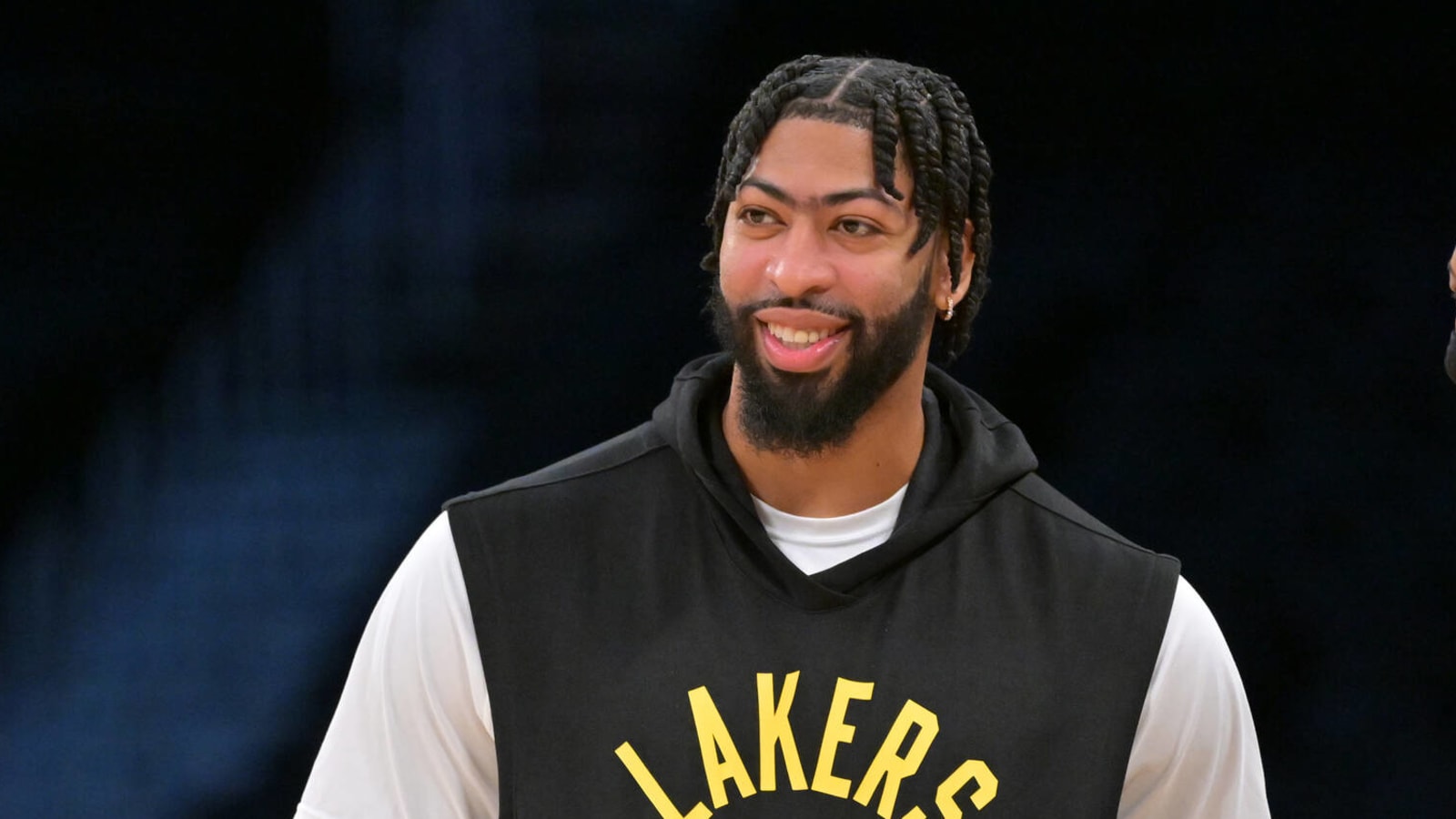 Anthony Davis believes Lakers 'could have been' better