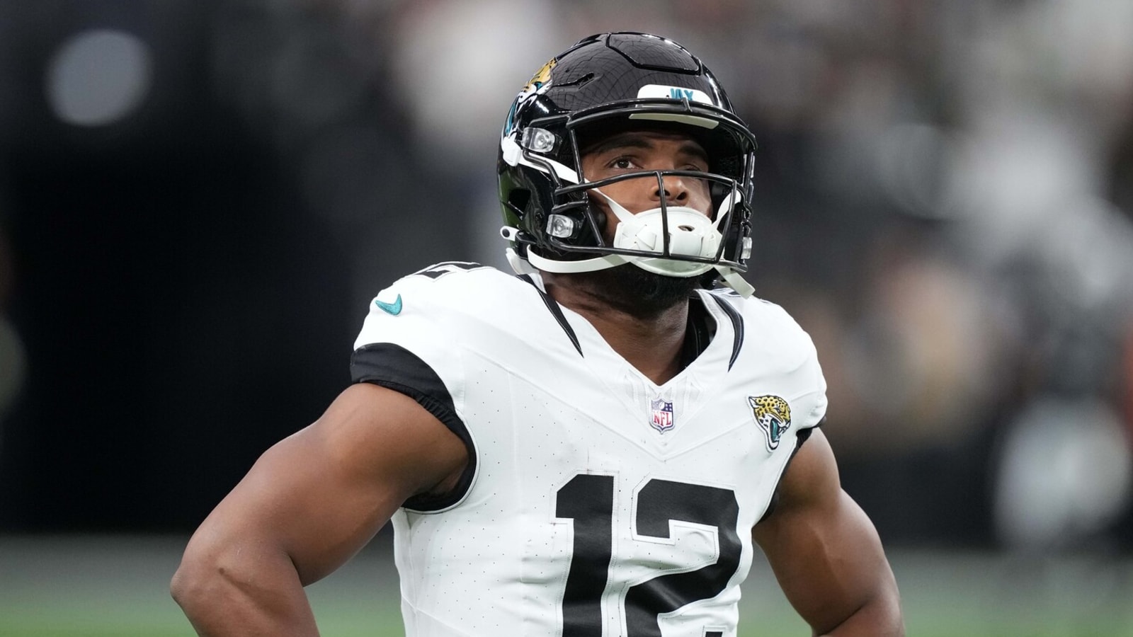Bears add two-time Pro Bowler to arsenal
