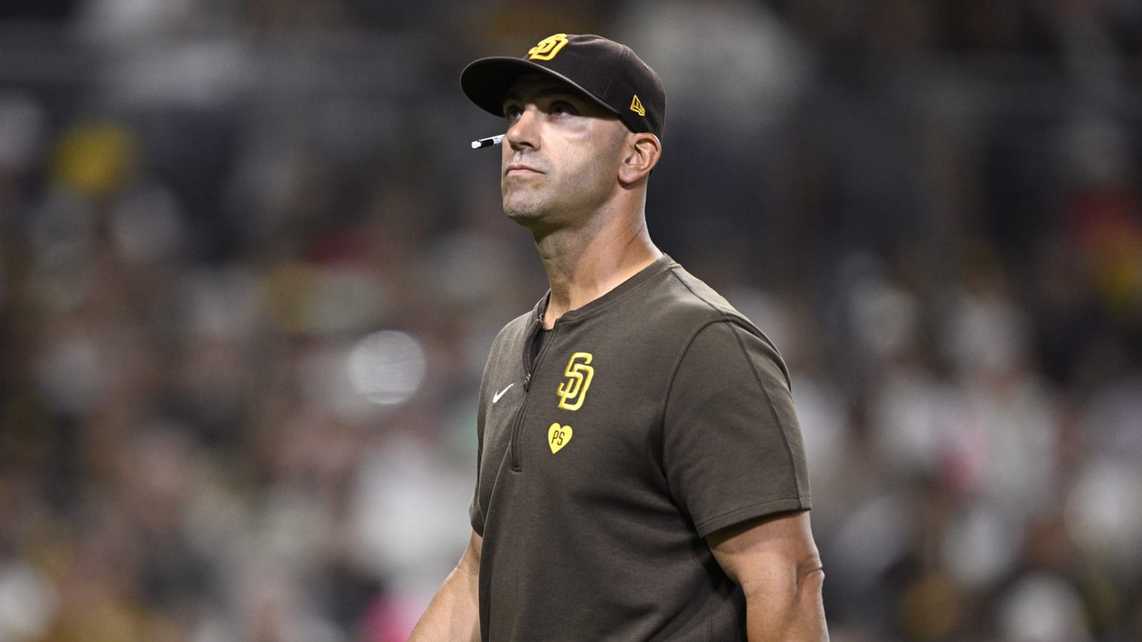 Padres finalize coaching staff