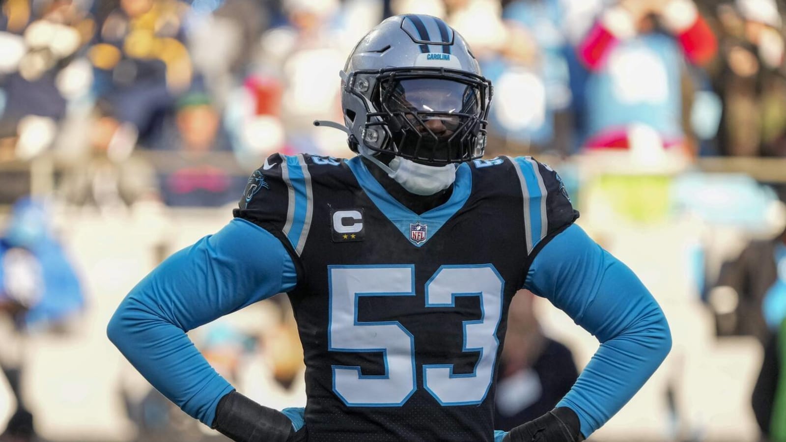 Panthers stock up, stock down