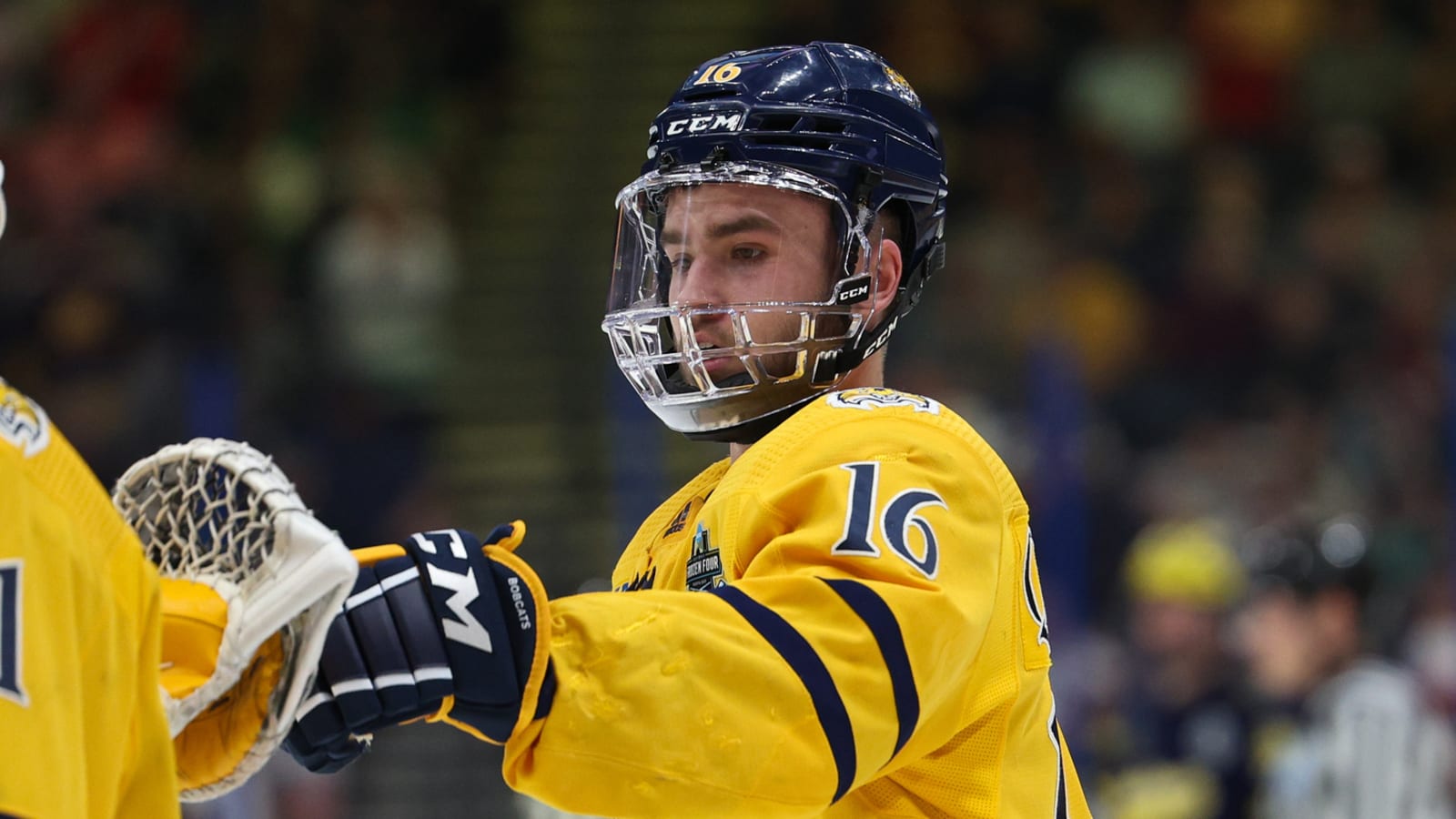 What should Maple Leafs fans know about call-up Jacob Quillan?