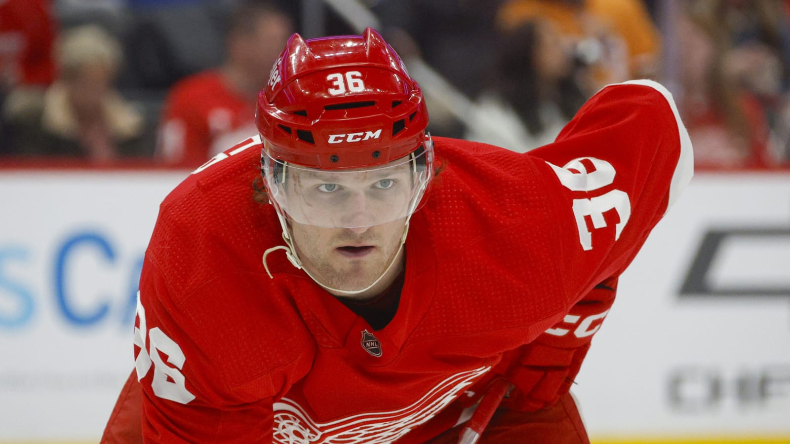 Veteran Red Wings forward day-to-day with upper-body injury