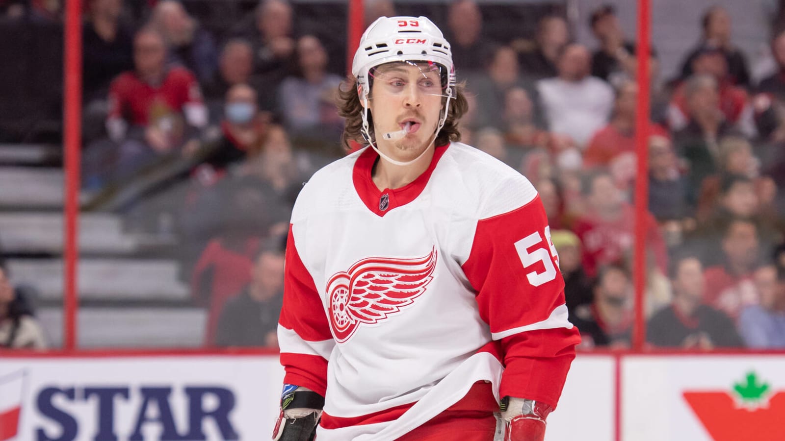 Bruins acquire Tyler Bertuzzi from Red Wings