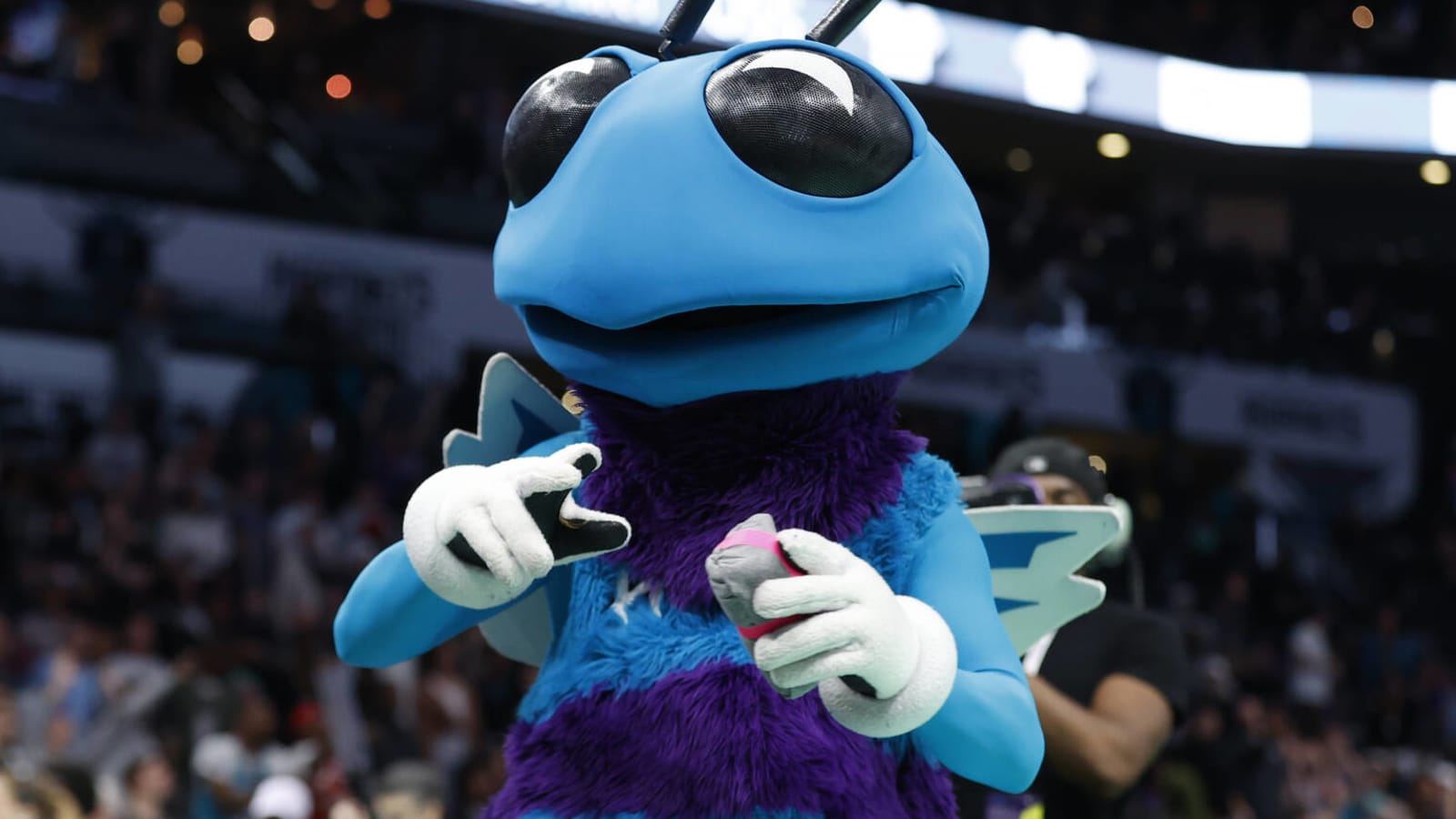 Watch: Hornets mascot reacts to team's controversial draft pick