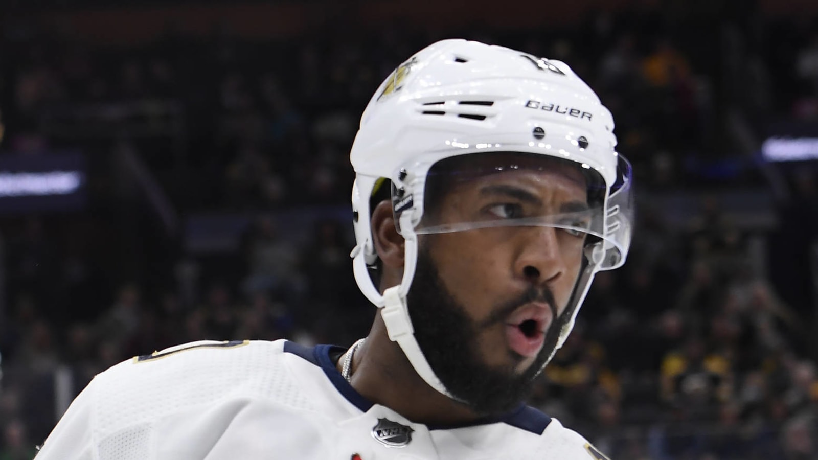 Panthers' Anthony Duclair day-to-day after unexpected scratch