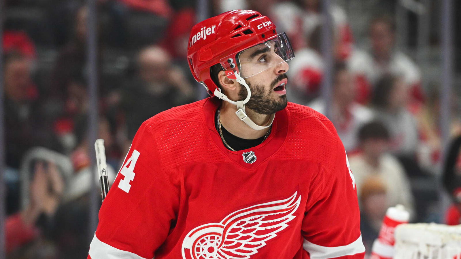 Red Wings forward out for the rest of the season