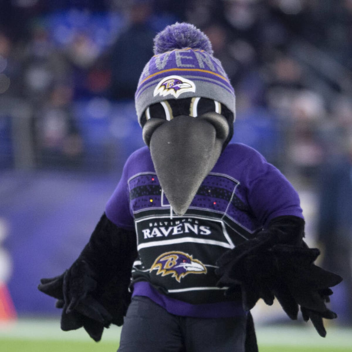 Watch: Ravens mascot, Poe, makes triumphant return off IR during 'Sunday  Night Football'